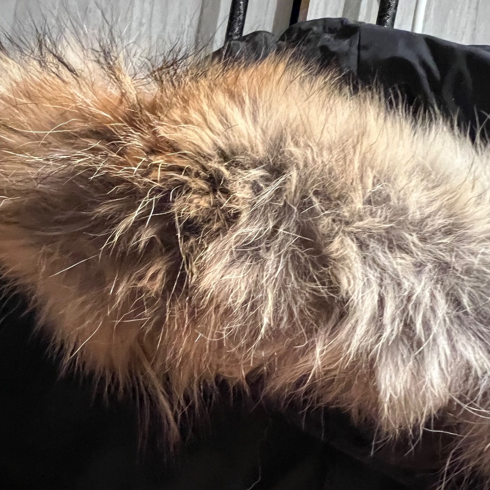 Parka - Picture 4 of 12